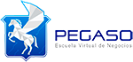 Bienvenidos a PEGASO Escuela Virtual de Negocios
